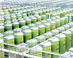 卓越品質(zhì) 李錦記